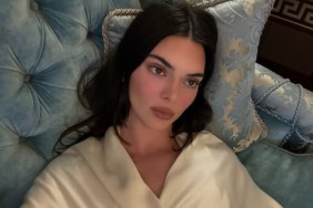 Kendall Jenner Wows Fans in Just Towel