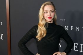 Amanda Seyfried’s Black Dress Features Countless Sheer Panels