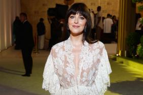 Dakota Johnson's Bold Lacy Chloe Gown Is Sheer Goodness