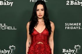 Demi Lovato in Sheer Corset Dress Is Head-Turning