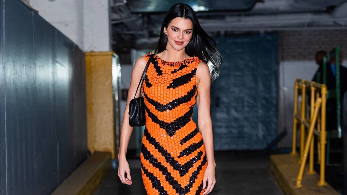 Kendall Jenner's Fully Sheer Tom Ford Dress Literally Hangs by a String -  theFashionSpot