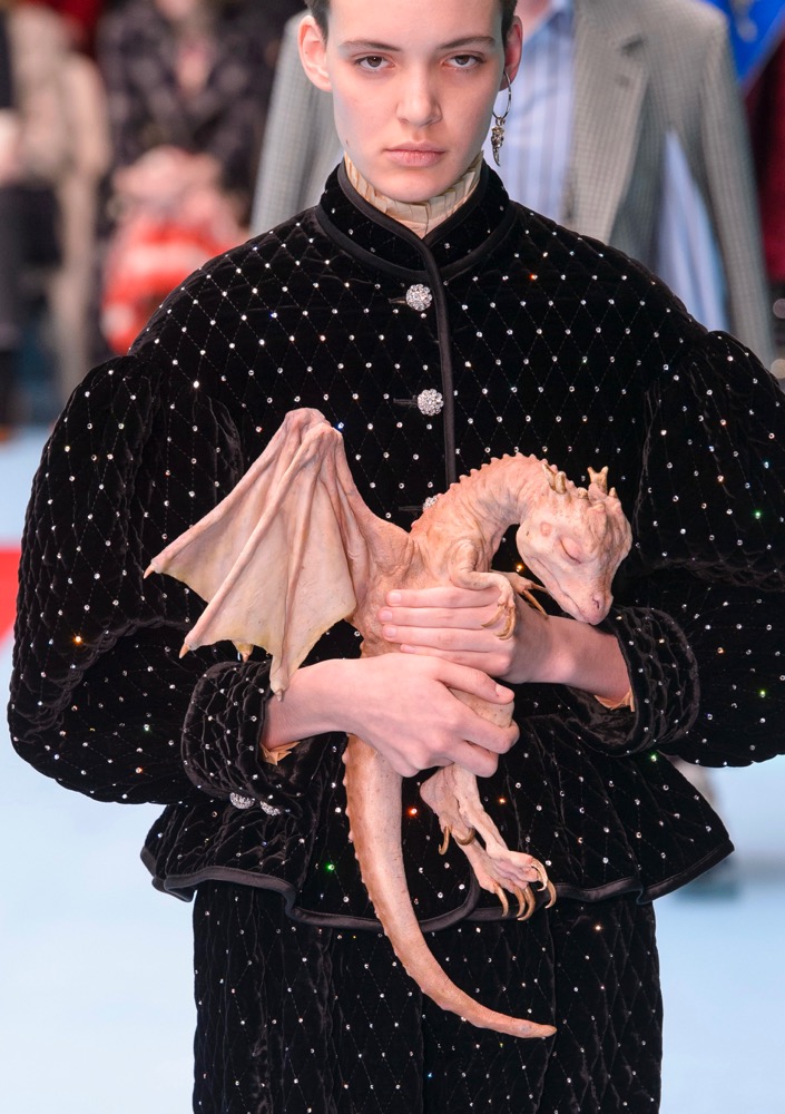Baby Dragons
