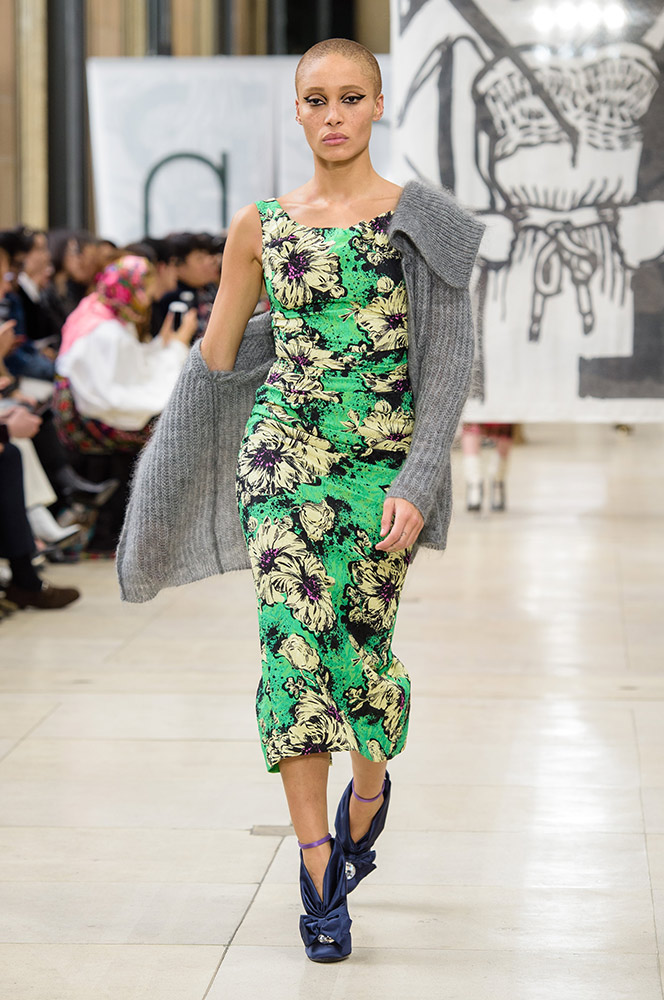 Miu Miu Fall 2018 #18