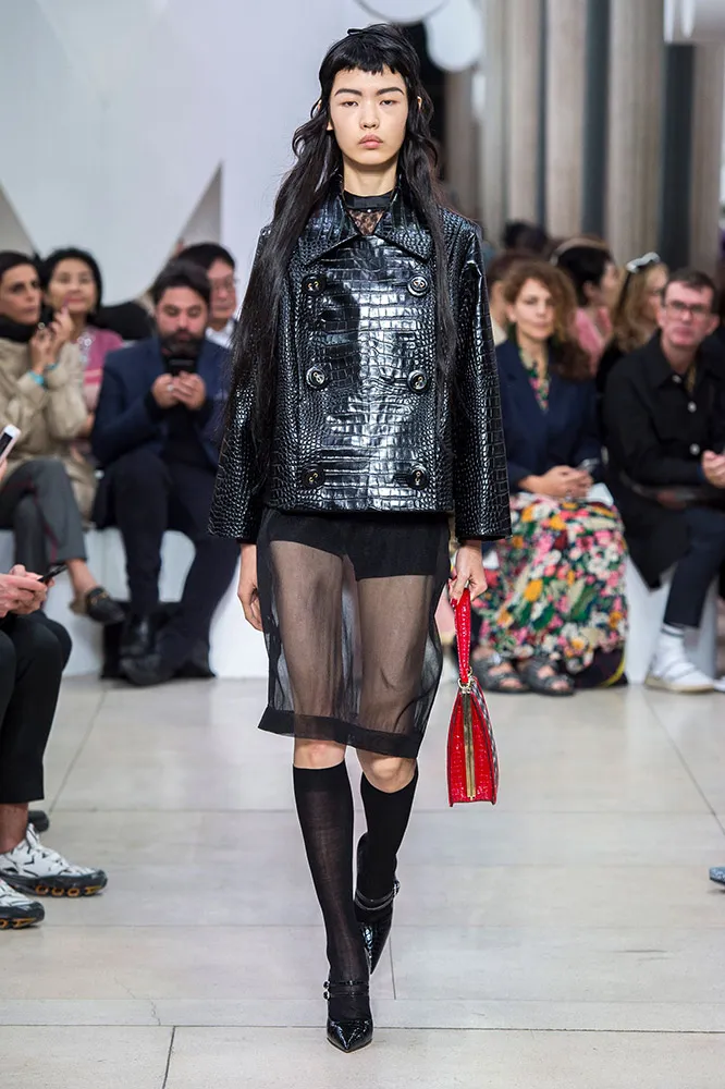 Miu Miu Spring 2019 #9