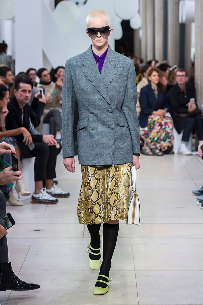 Miu Miu Spring 2019 #14