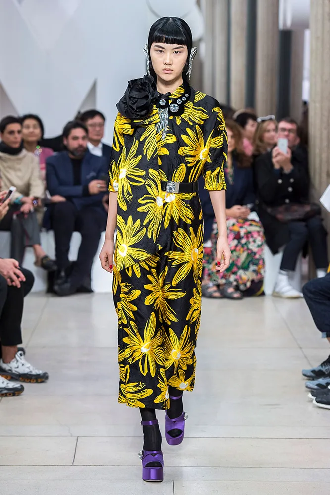Miu Miu Spring 2019 #18