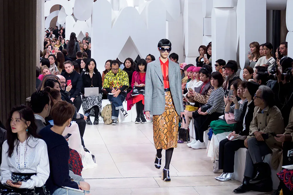 Miu Miu Spring 2019 #56