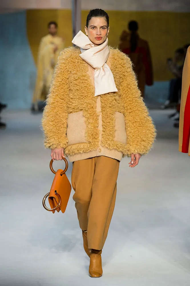 Roksanda Fall 2018 #4